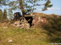 Från Lantbruksmuseum i Nittorp by